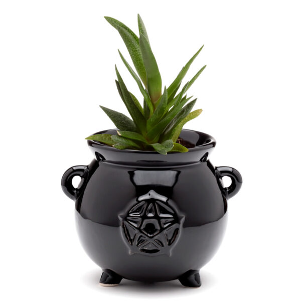Decorative Ceramic Indoor Shaped Planter - Witches Cauldron - Image 2