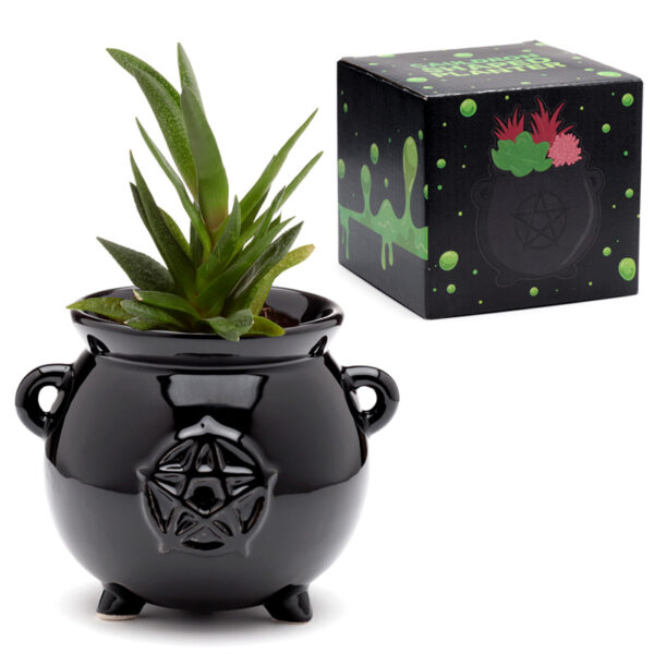 Decorative Ceramic Indoor Shaped Planter - Witches Cauldron - Image 8