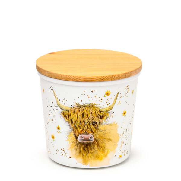 Recycled RPET Set of 2 Storage Jars S/M - Jan Pashley Highland Coo Cow - Image 6