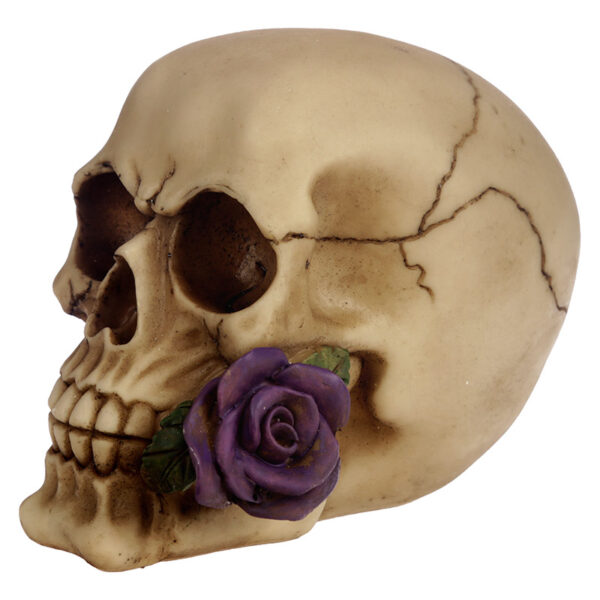 Gothic Skull Decoration with Purple Roses - Image 6