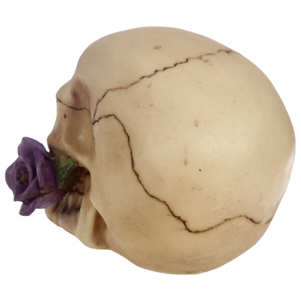 Gothic Skull Decoration with Purple Roses - Image 9