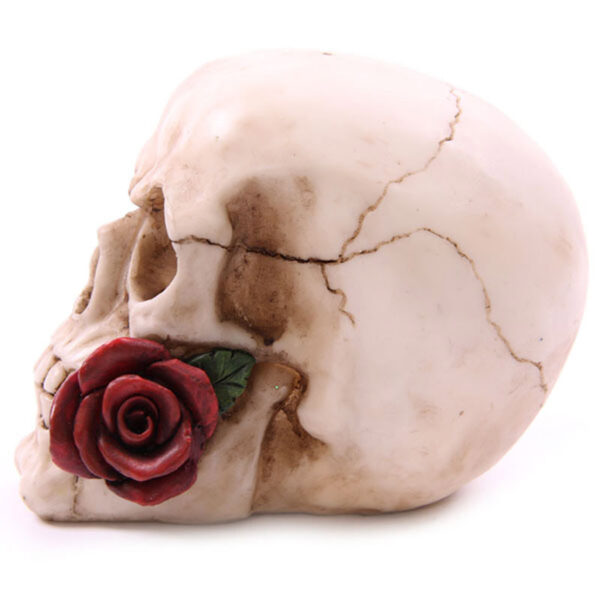 Fantasy Skull Head with Roses Ornament - Image 3