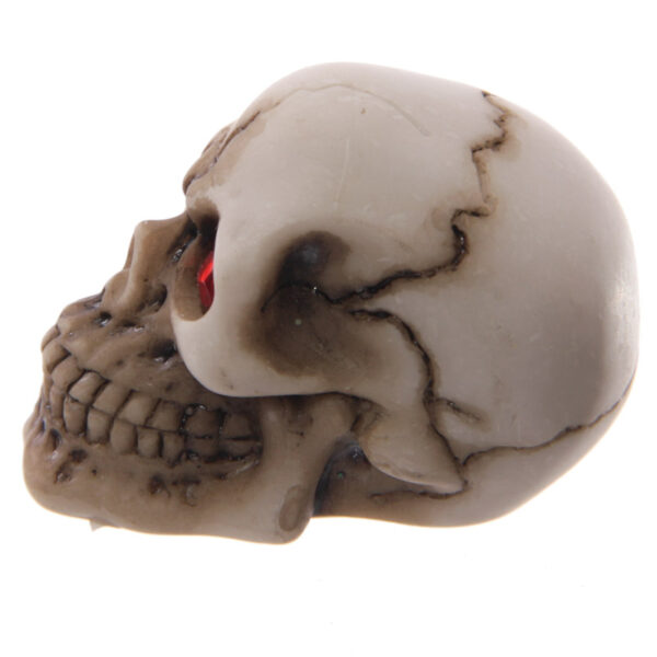 Novelty Red Eyed Skull Decoration - Image 2