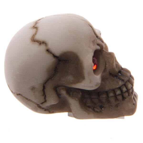 Novelty Red Eyed Skull Decoration - Image 4