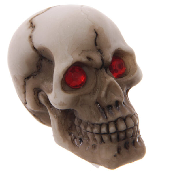 Novelty Red Eyed Skull Decoration - Image 5
