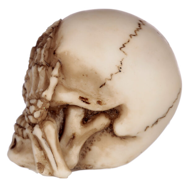 Speak No, Hear No, See No Evil Set of 3 Skulls - Image 3