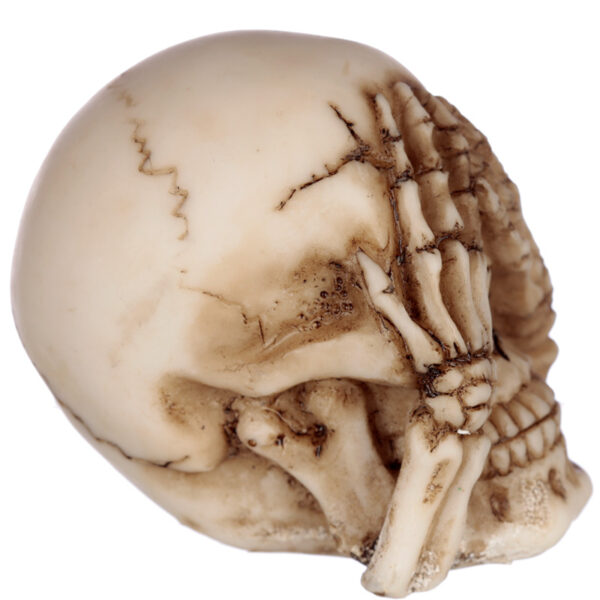 Speak No, Hear No, See No Evil Set of 3 Skulls - Image 4