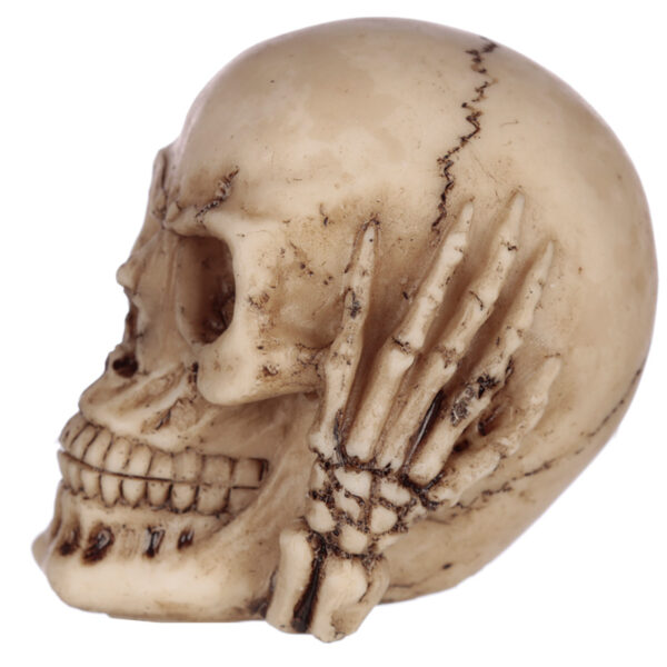 Speak No, Hear No, See No Evil Set of 3 Skulls - Image 6