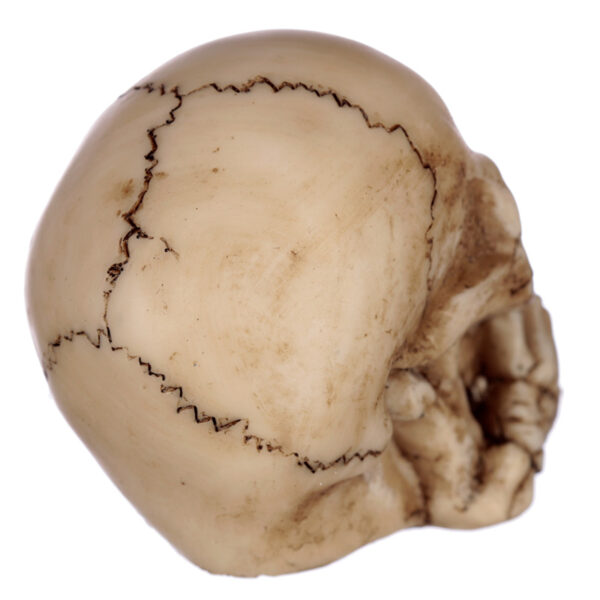 Speak No, Hear No, See No Evil Set of 3 Skulls - Image 10