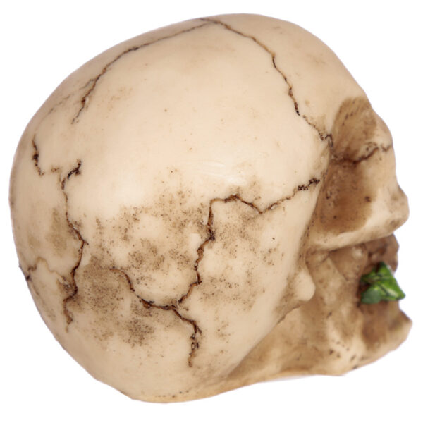 Gothic Skulls and Roses Ornament - Image 4