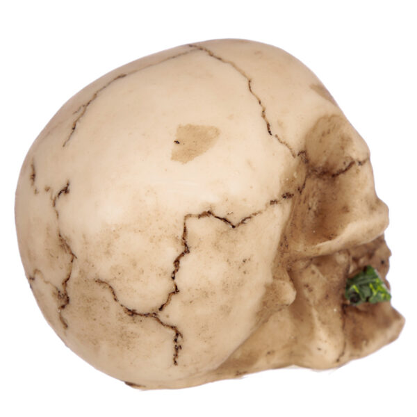 Gothic Skulls and Roses Ornament - Image 8
