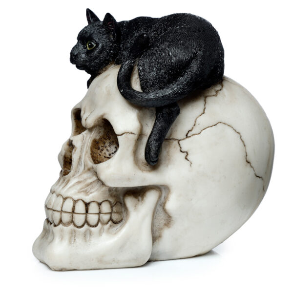 Fantasy Skull Ornament - Skull with Black Cat - Image 3