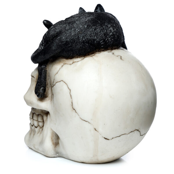 Fantasy Skull Ornament - Skull with Black Cat - Image 4