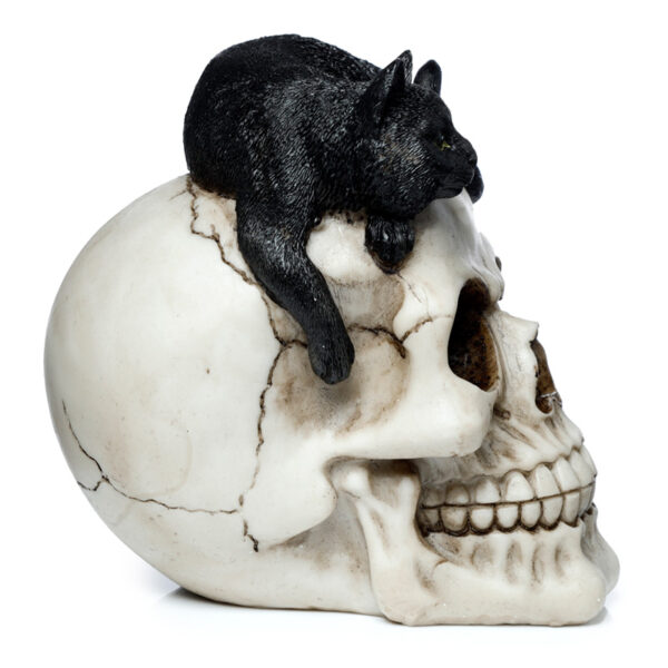 Fantasy Skull Ornament - Skull with Black Cat - Image 5