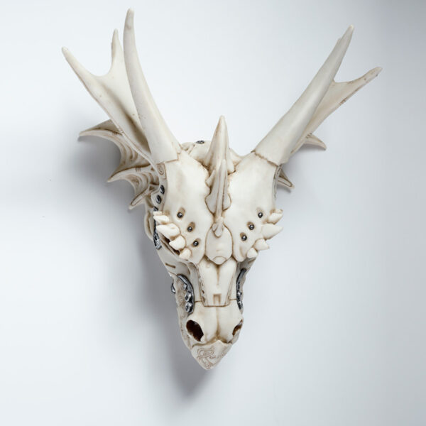 Dragon Skull Decoration with Metallic Detail - Image 2