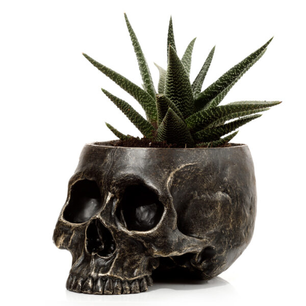 Skull Garden Planter - Image 2