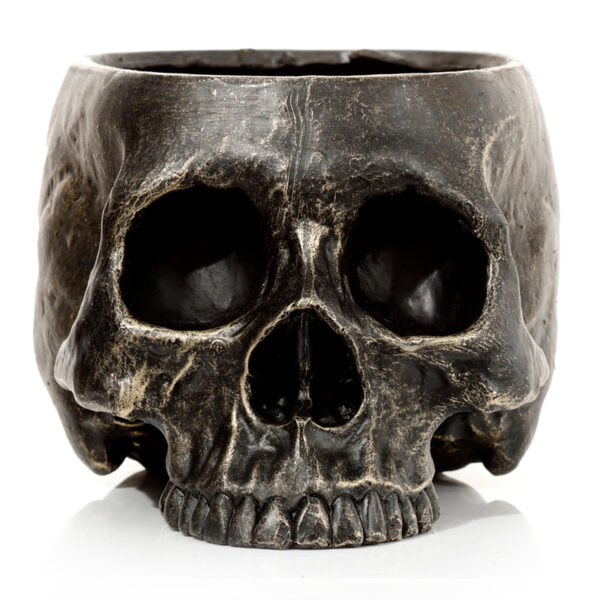 Skull Garden Planter - Image 3