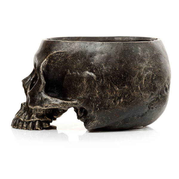 Skull Garden Planter - Image 4
