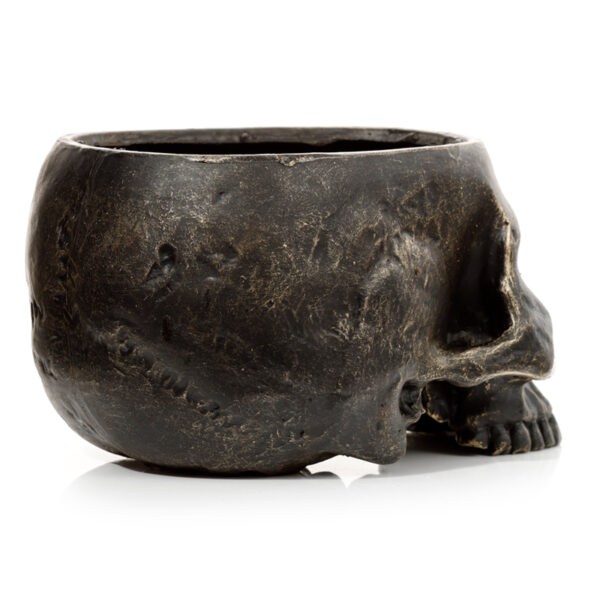 Skull Garden Planter - Image 5