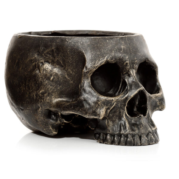Skull Garden Planter - Image 6