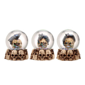 Gothic Skull Snow Globe - Black Cat, Crow and Bat Skull