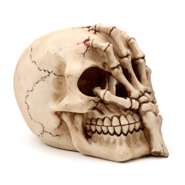 Gothic Skull Decoration - Skull Head with Skeleton Claw Hand - Image 8