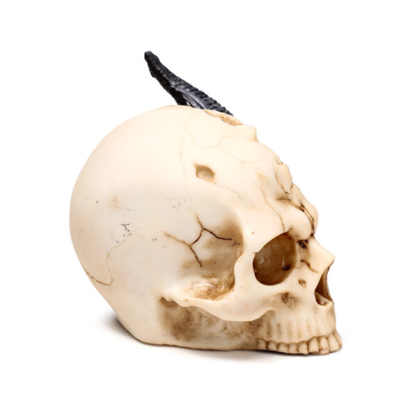 Shadows of Darkness Dragon - Black Dragon in Skull Small - Image 5