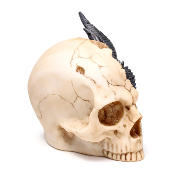 Shadows of Darkness Dragon - Black Dragon in Skull Large - Image 5