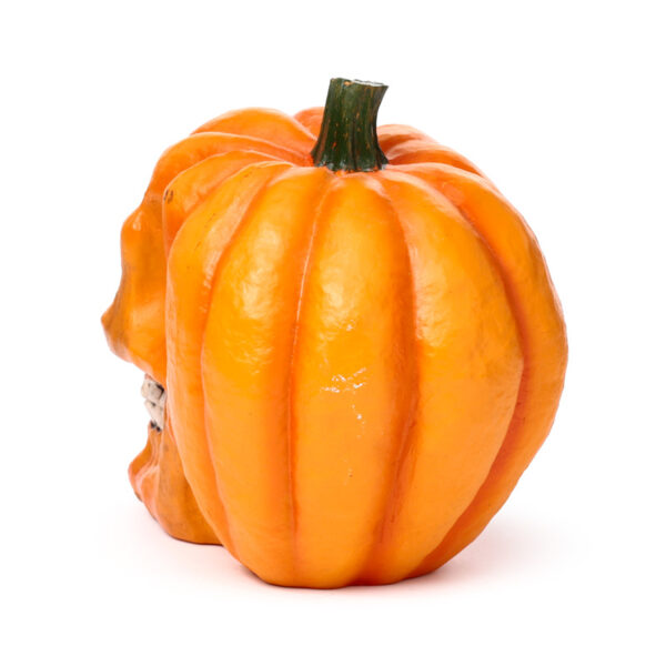 Decorative Ornament - Pumpkin Skull - Image 5