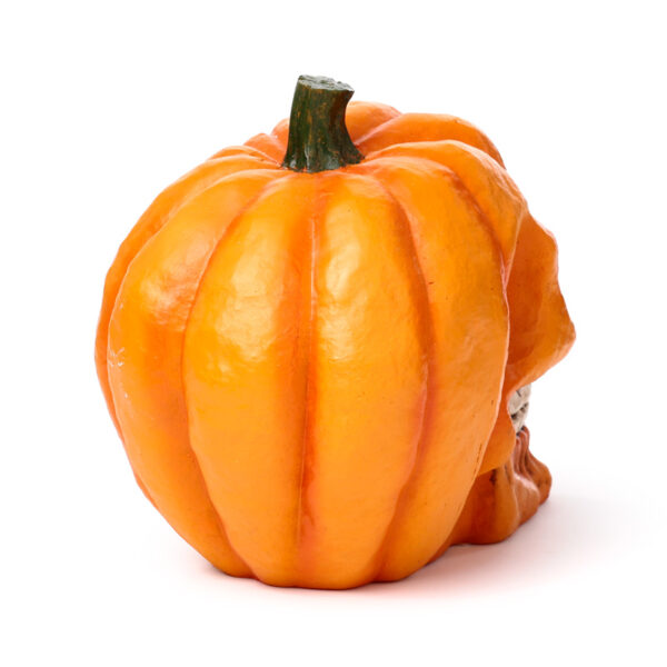 Decorative Ornament - Pumpkin Skull - Image 6