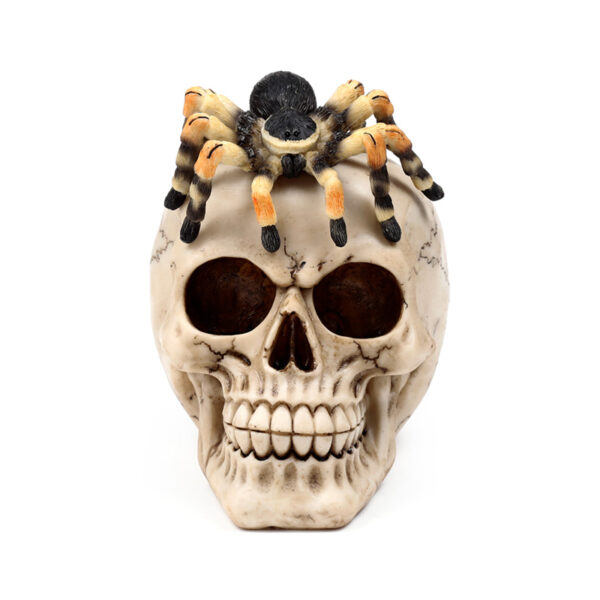 Decorative Ornament - Skull with Spider - Image 2