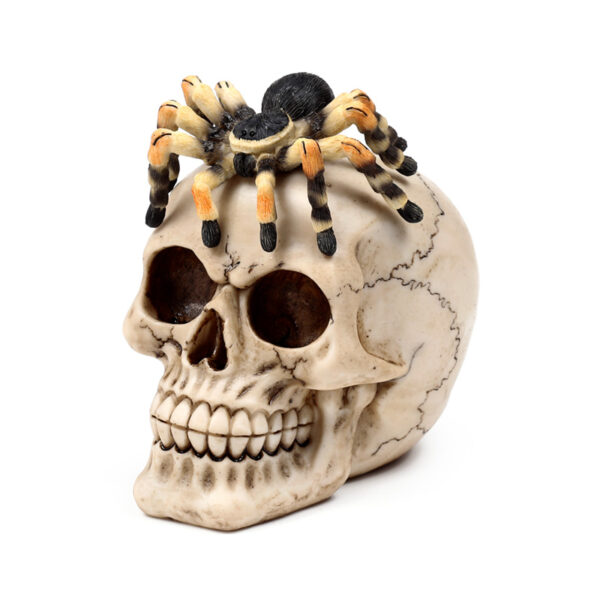 Decorative Ornament - Skull with Spider - Image 3
