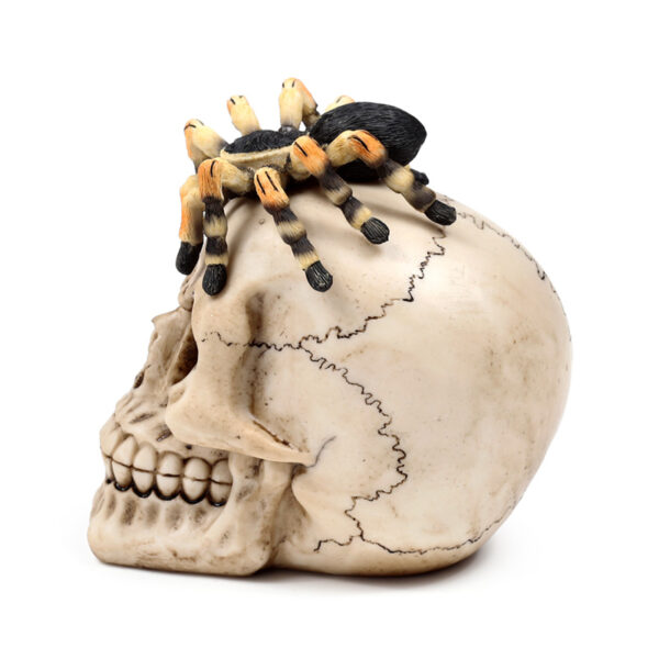 Decorative Ornament - Skull with Spider - Image 4