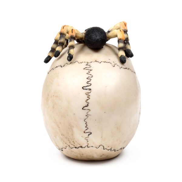 Decorative Ornament - Skull with Spider - Image 5