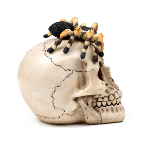 Decorative Ornament - Skull with Spider - Image 6