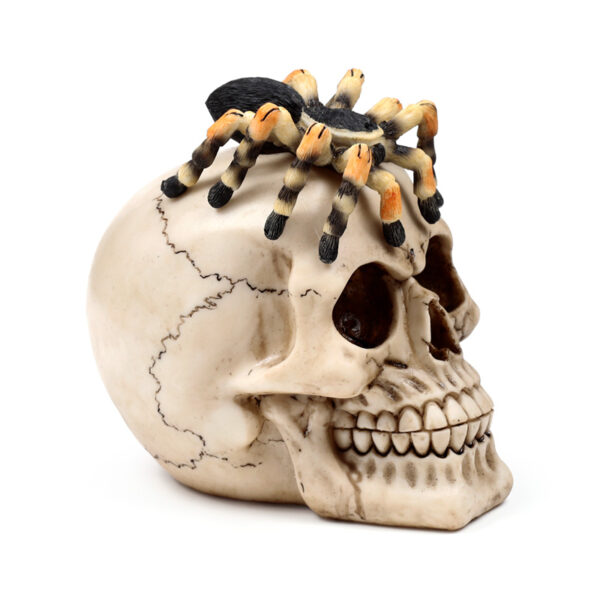 Decorative Ornament - Skull with Spider - Image 7