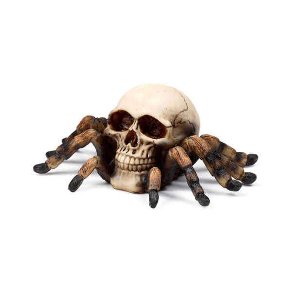 Decorative Ornament - Skull with Spider Legs - Image 3
