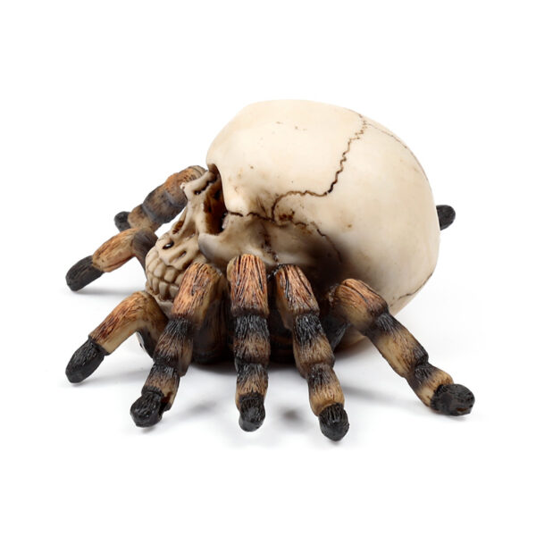 Decorative Ornament - Skull with Spider Legs - Image 4
