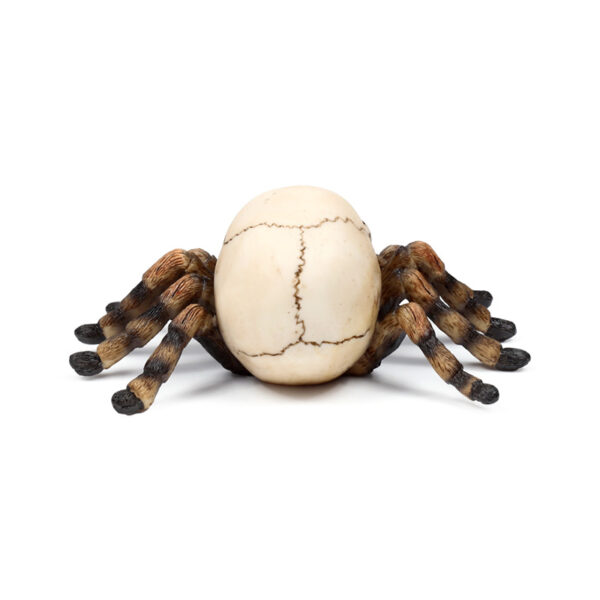 Decorative Ornament - Skull with Spider Legs - Image 5