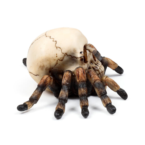 Decorative Ornament - Skull with Spider Legs - Image 6