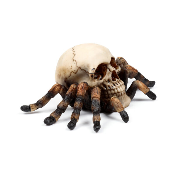 Decorative Ornament - Skull with Spider Legs - Image 7