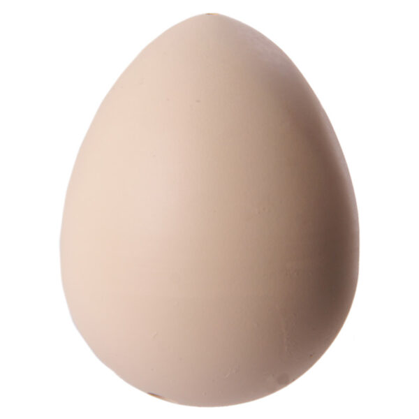 Fun Kids Novelty Hatching Chicken - Image 2