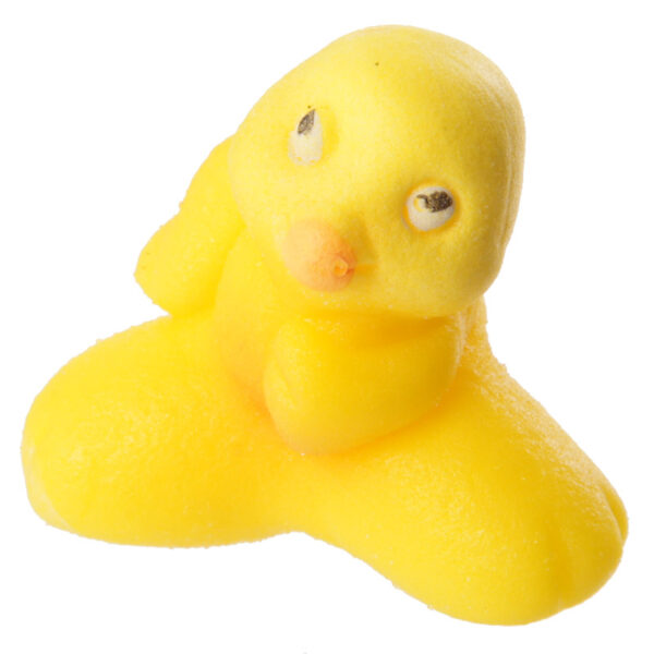 Fun Kids Novelty Hatching Chicken - Image 5