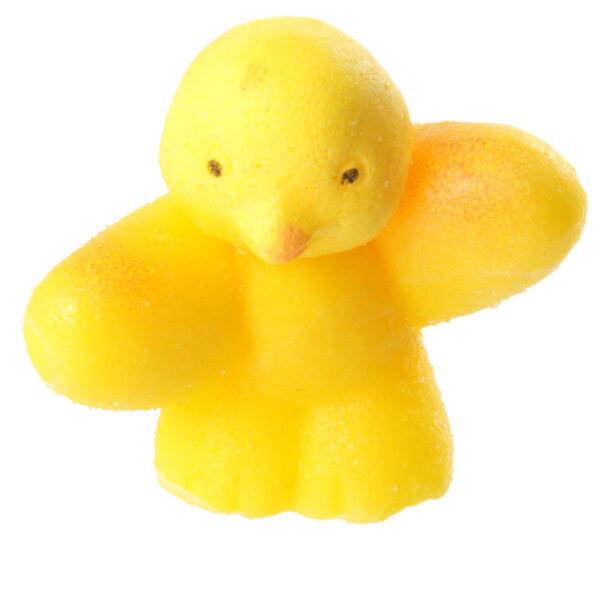 Fun Kids Novelty Hatching Chicken - Image 6