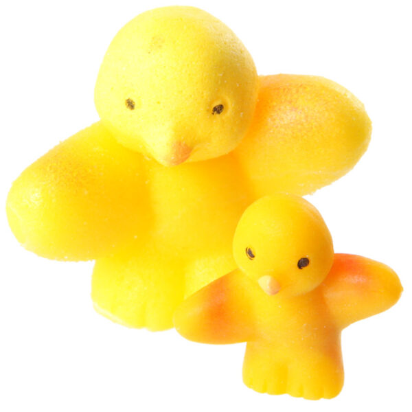 Fun Kids Novelty Hatching Chicken - Image 7