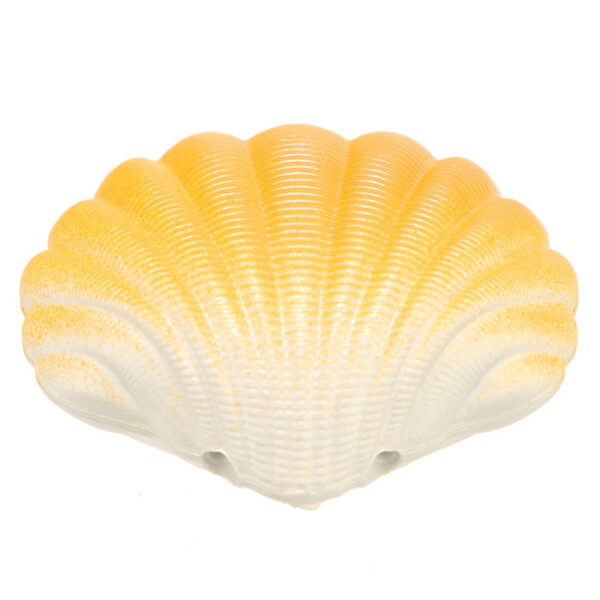 Mermaid Hatching Clam Shell - Image 5