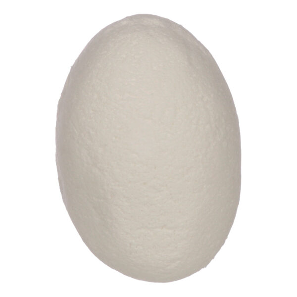 Fun Kids Fizzy Safari Animal Egg - Image 2