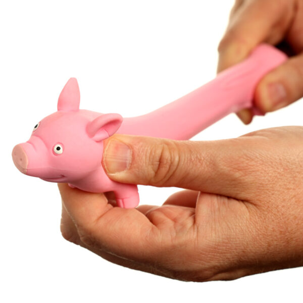 Fun Kids Stretchy Squeezy Pig - Image 3