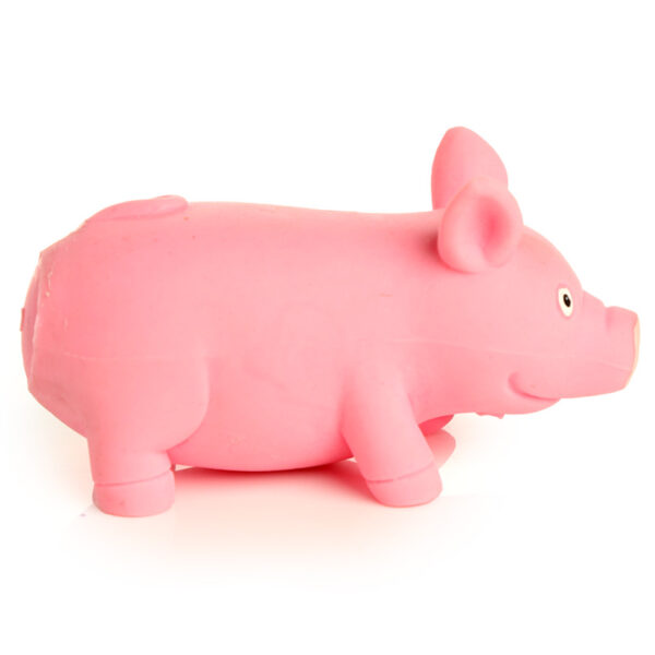 Fun Kids Stretchy Squeezy Pig - Image 5