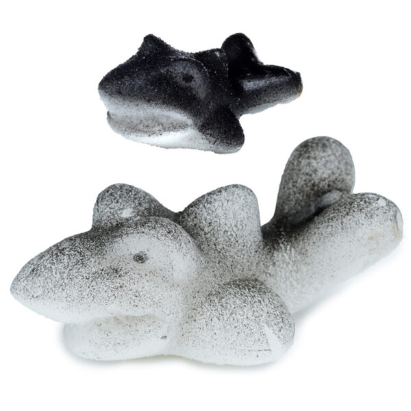 Shark Hatching Egg - Image 2